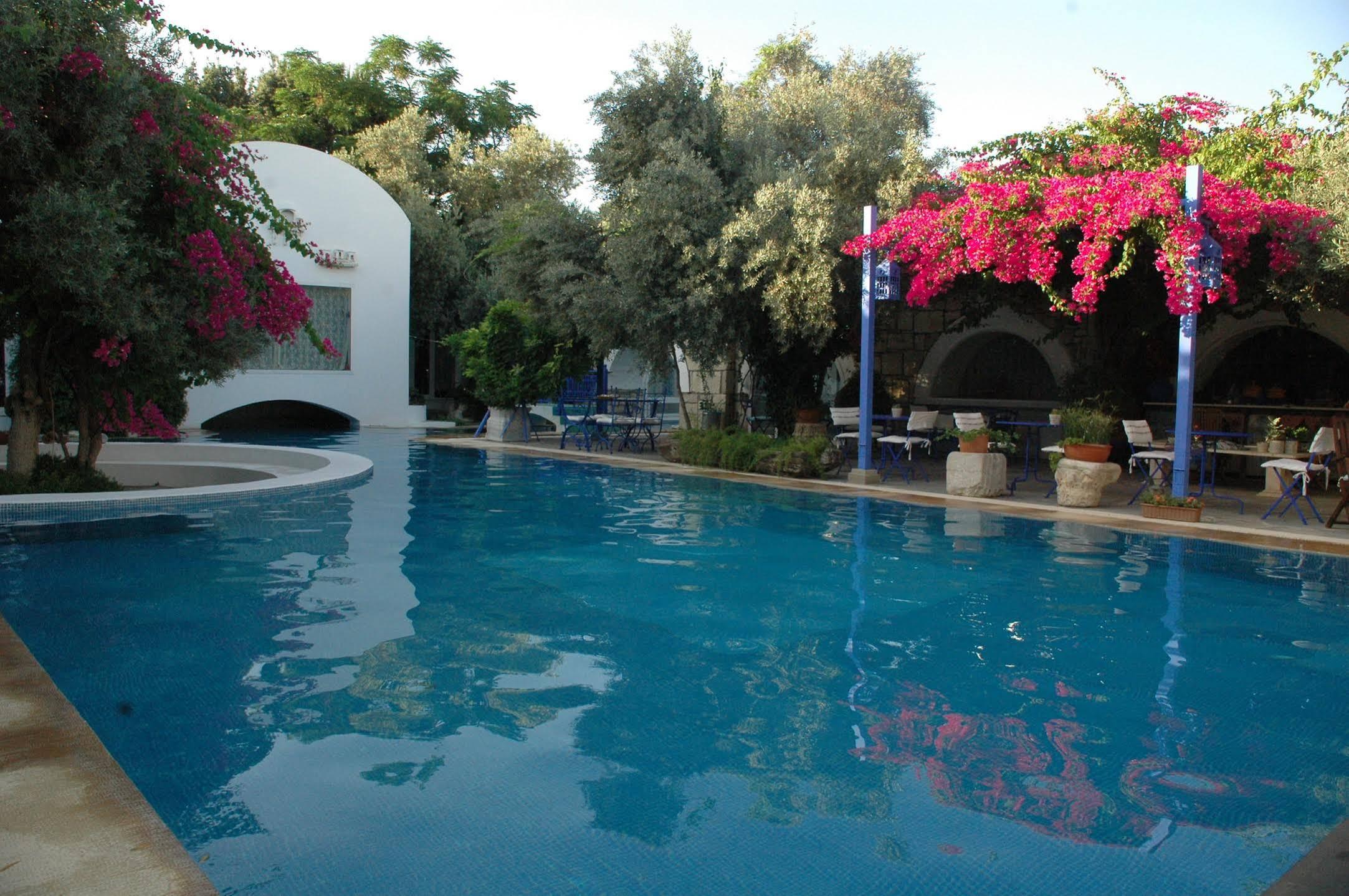 Villa Oliva Butik Hotel Konacik Exterior photo